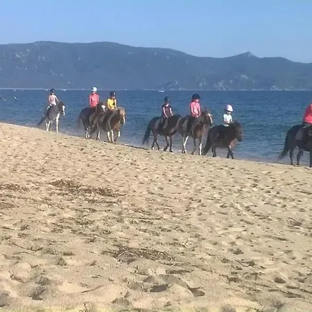 Location Familiale 6 Personnes Entre Propriano Et