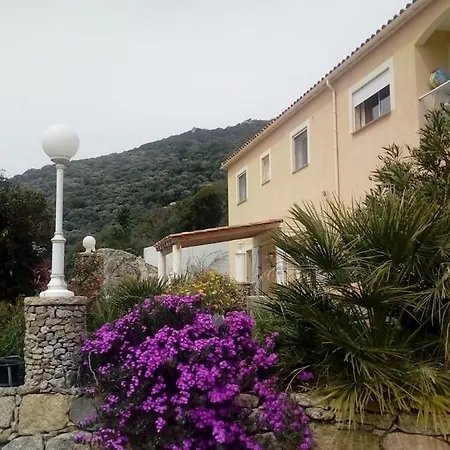 Appartamento Location Familiale 6 Personnes Entre Propriano Et