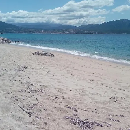 Appartamento Location Familiale 6 Personnes Entre Propriano Et